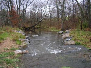 Rocks keeping the stream stable